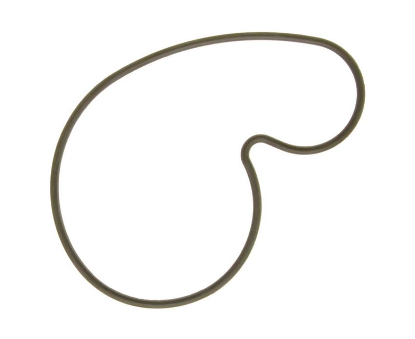 Ajusa 01128600 Gasket, Water Pump