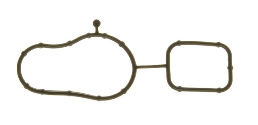 Ajusa 01197800 Gasket, Water Pump