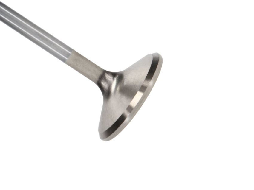Manley 116331 Manley Valve - Exhaust, Valve-FD MOD E/D 38.5mm