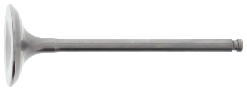 Hot Cams 8400008-3 03-09/11-15 WR 450 F Titanium Intake Valve