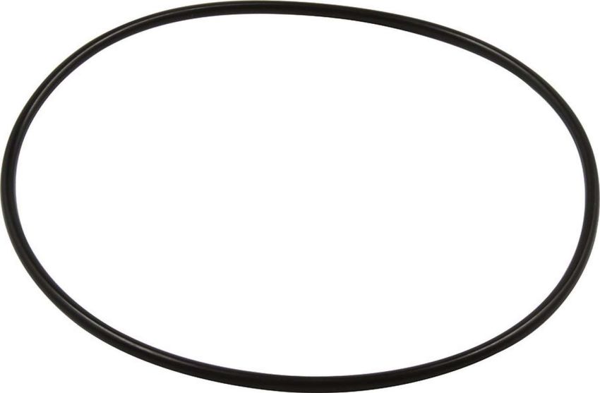 ALLSTAR PERFORMANCE ALL26084 Repl O-Ring