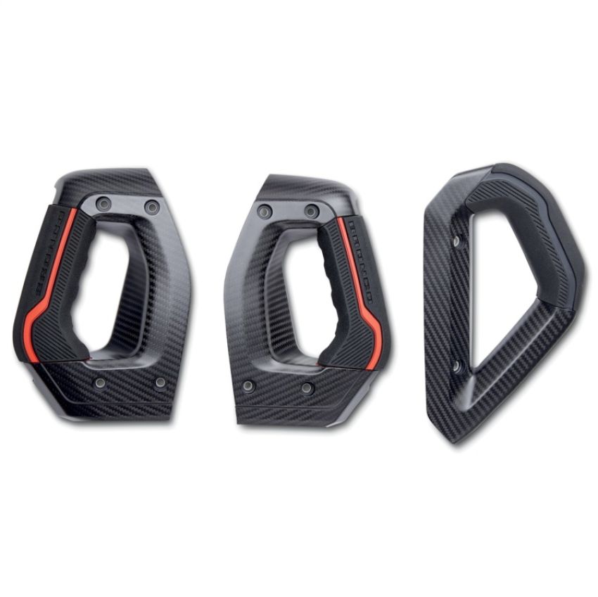 Ford Racing M-7220-BCF 2021 -2025 Bronco Carbon Fiber Grab Handle Kit