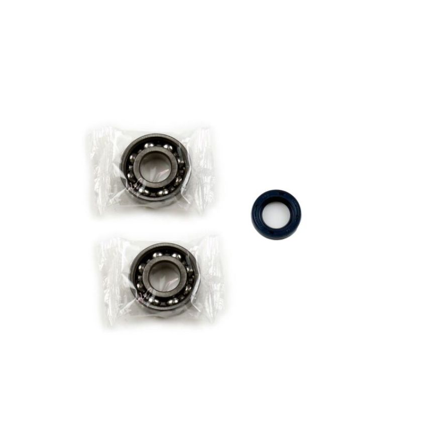 Athena P400480444002 Bearing & Oil Seal Kits