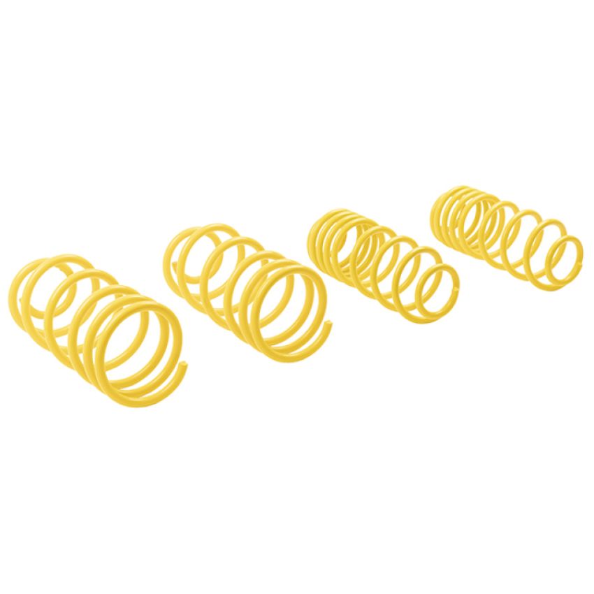 Suspension (66208 ST LOWERING SPRINGS)