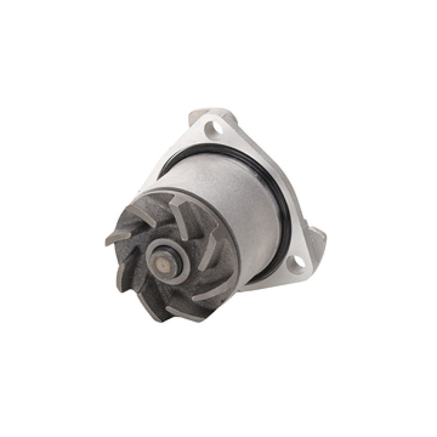 Dayco DP424 Water Pump
