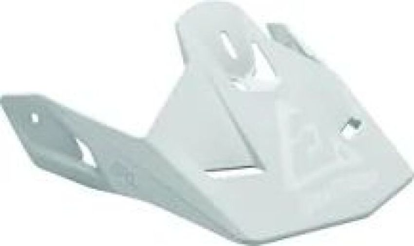 Answer 447089 Visors