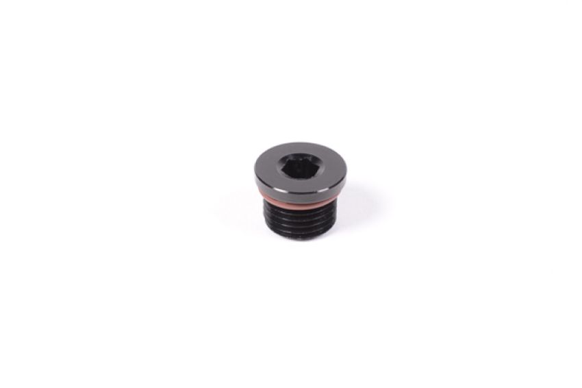 Radium Engineering 14-0149 6AN ORB PLUG