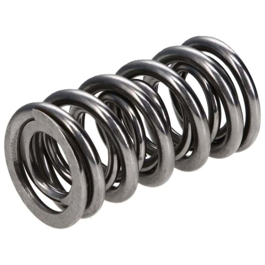 Chevy LS Spring Kit 1.295 w/Ti-Retainers