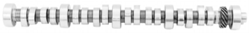 FORD FRDM6250-F303 5.0L Roller Camshaft