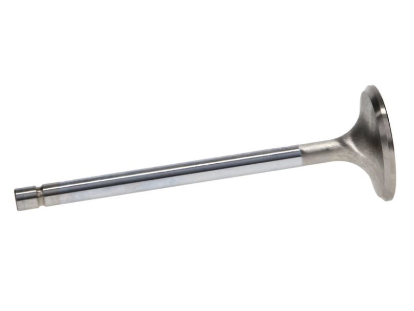 Manley 115758 Manley Valve - Exhaust, Valve-SBF R/F 1.550