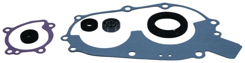 Vertex Pistons 821808 Vertex Gaskets 94-95 Polaris 400L 2x4 Water Pump Rebuild Kit