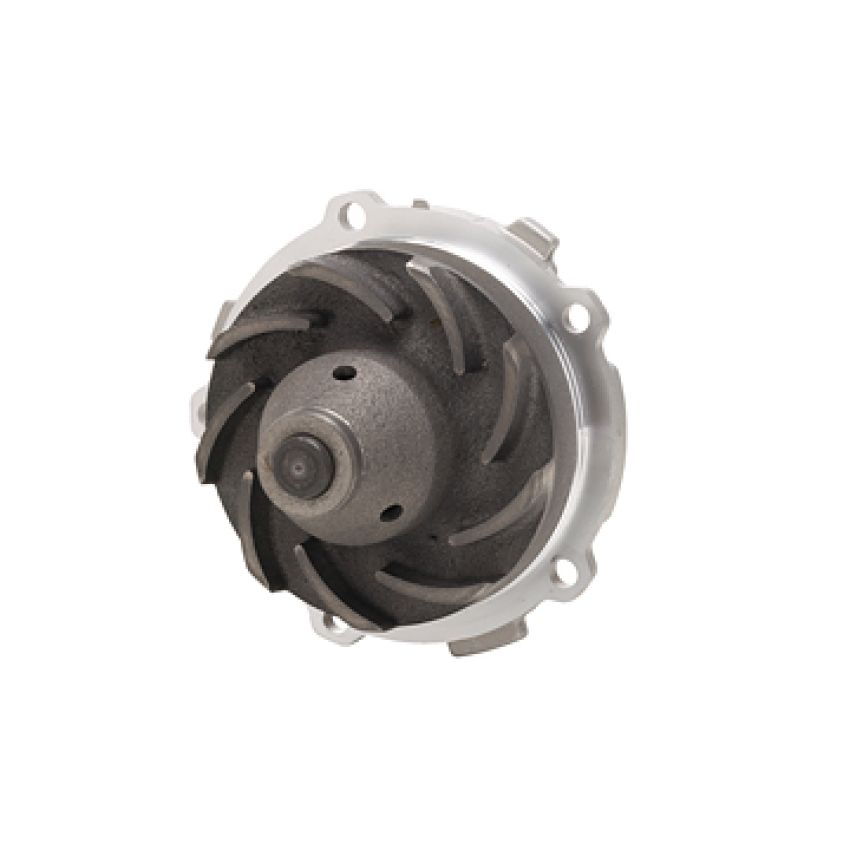 Dayco DP994 Water Pump