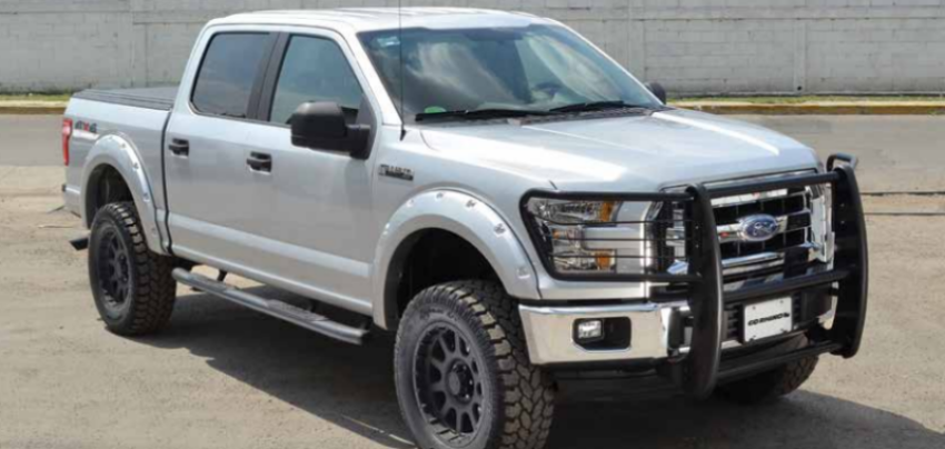 Go Rhino 3295MC 15-17 Ford F-150 (Excl. ACC Models) 3000 Series StepGuard Center Grille + Brsh Grd - Chrome