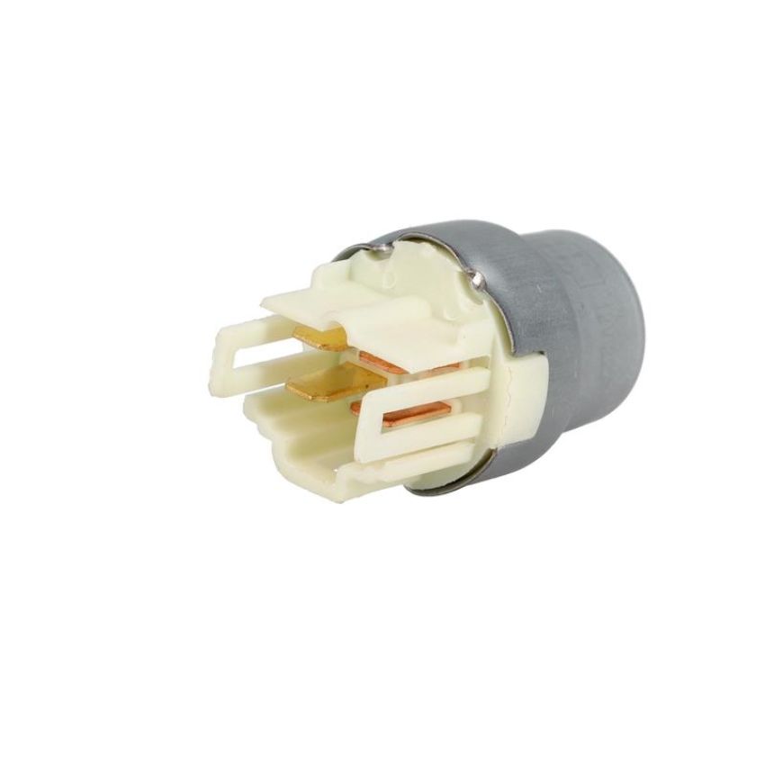 ROSTRA 60-0055 Multi-Purpose Relay