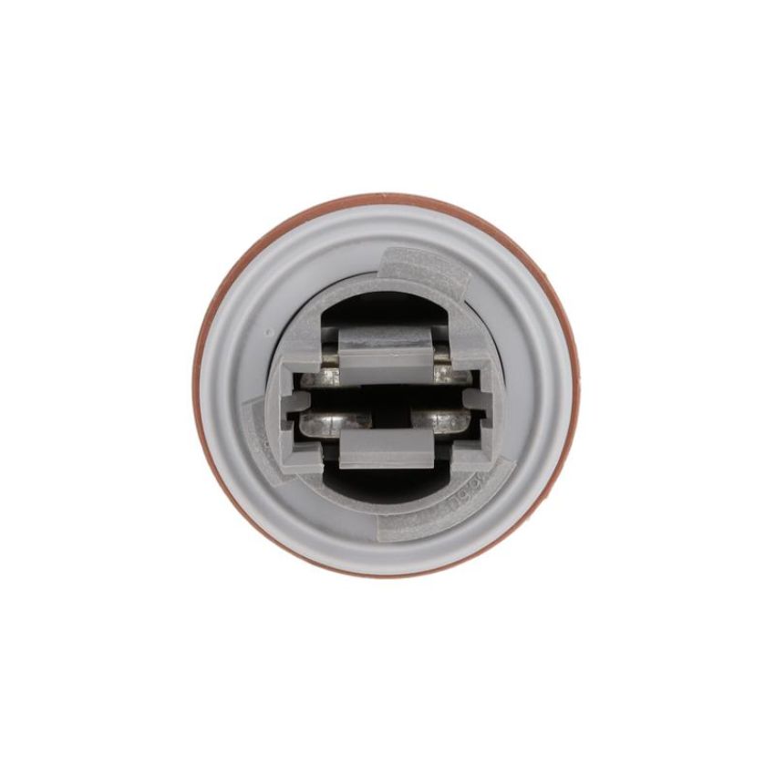 ROSTRA 61-0201 Multi-Purpose Light Bulb Socket