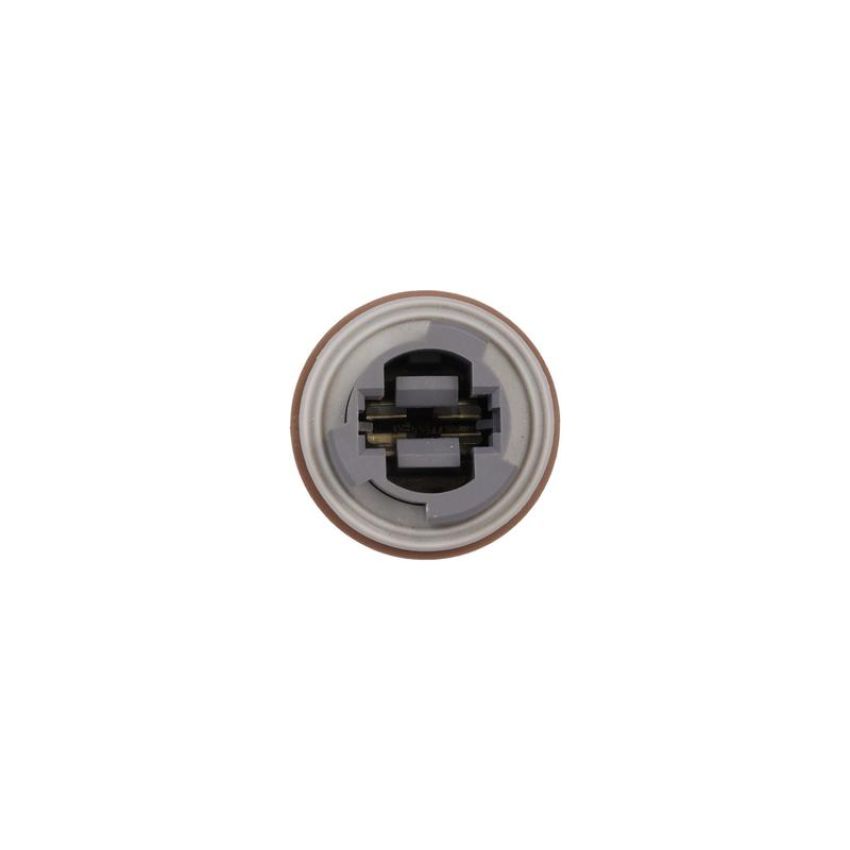 ROSTRA 61-0350 Multi-Purpose Light Bulb Socket