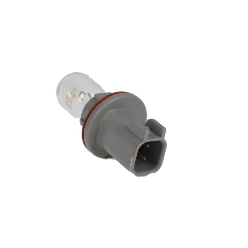 ROSTRA 61-0354 Multi-Purpose Light Bulb Socket