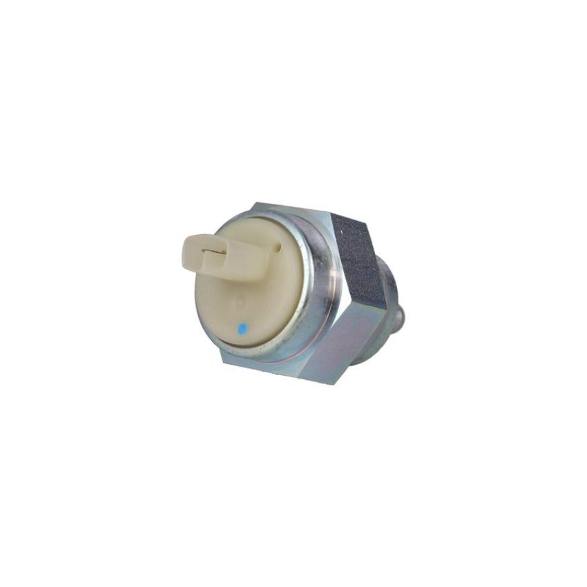 ROSTRA 73-0024 Switch