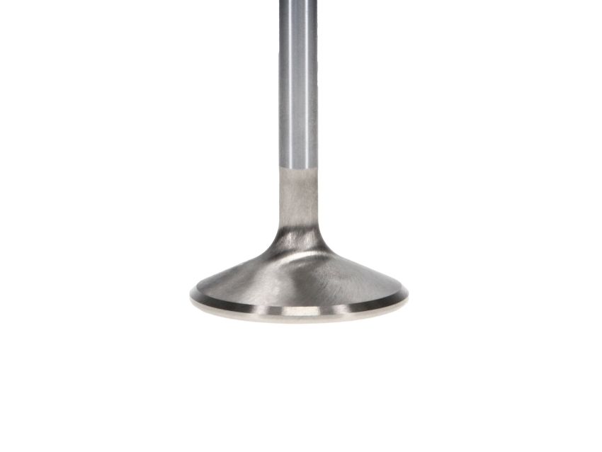Manley 113371 Manley Valve - Exhaust, Valve-PONT R/M 1.770