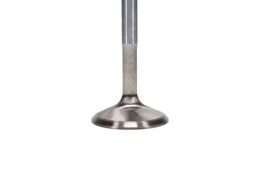 Manley 116088 Manley Valve - Intake, Valve-DURAMAX 6.6L R/F 1.338