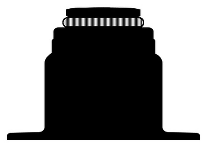Ajusa 12040000 Valve Stem Seal