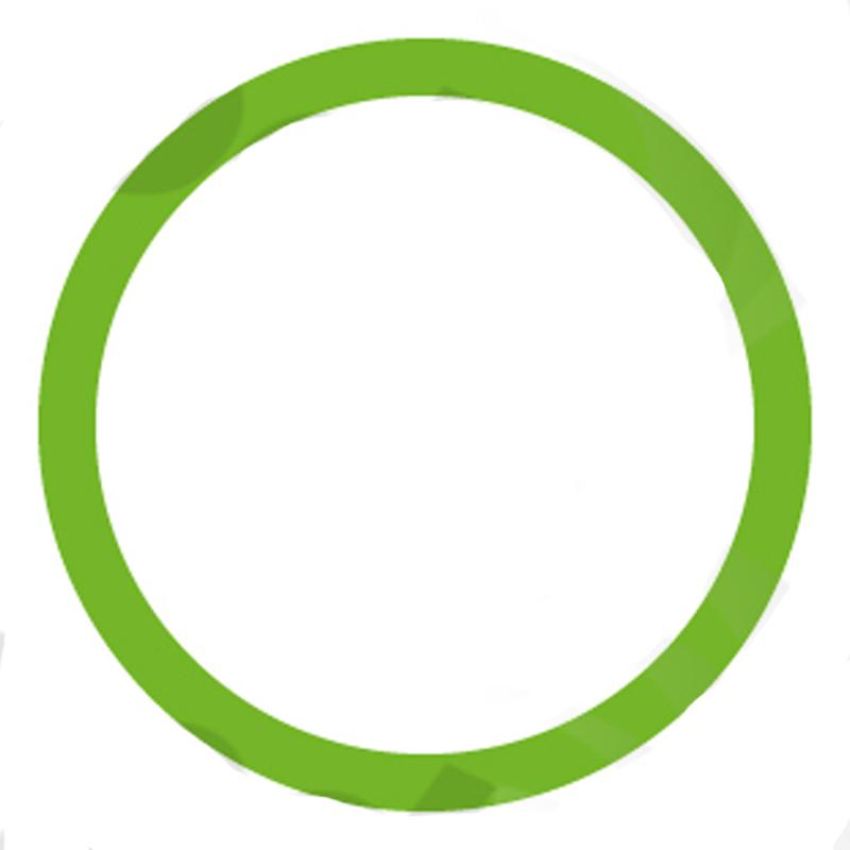 Global Parts Distributors LLC 1311289 gpd Oring/Gasket 1311289