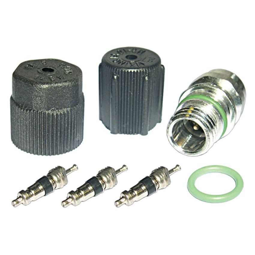 Global Parts Distributors LLC 1311422 gpd Cap and Valve Kit 1311422