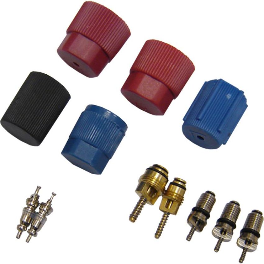 Global Parts Distributors LLC 1311570 gpd Cap and Valve Kit 1311570