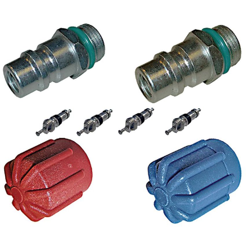Global Parts Distributors LLC 1311573 gpd Cap and Valve Kit 1311573