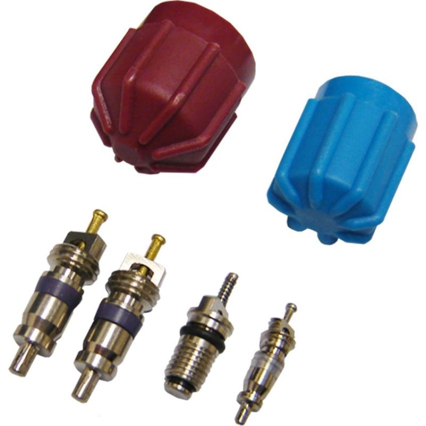 Global Parts Distributors LLC 1311574 gpd Cap and Valve Kit 1311574