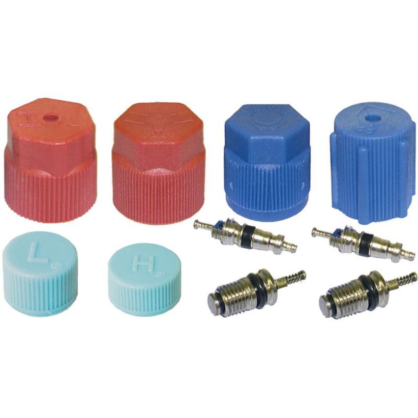 Global Parts Distributors LLC 1311575 gpd Cap and Valve Kit 1311575