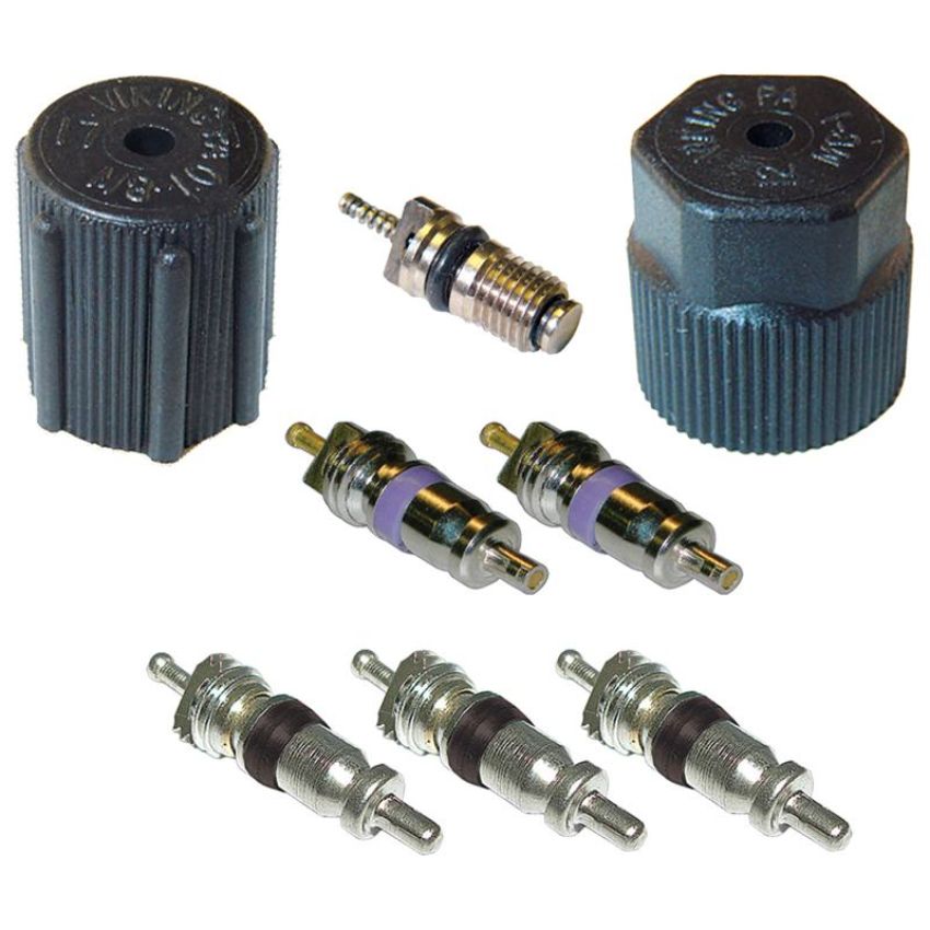 Global Parts Distributors LLC 1311683 gpd Cap and Valve Kit 1311683