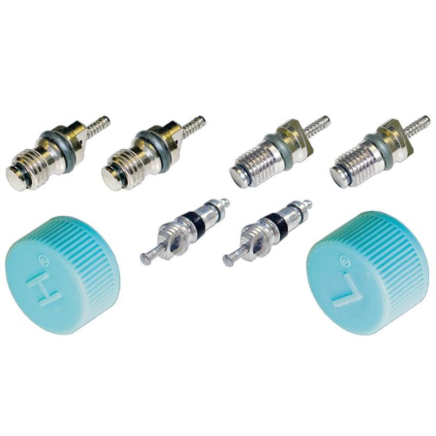Global Parts Distributors LLC 1311684 gpd Cap and Valve Kit 1311684