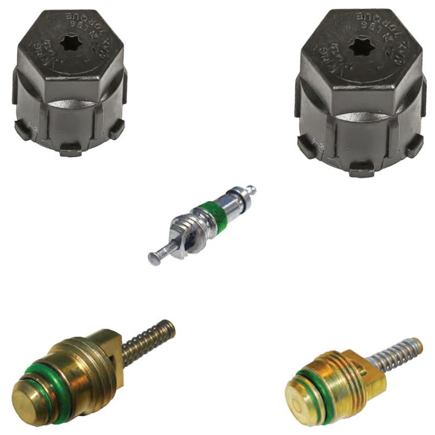 Global Parts Distributors LLC 1311747 gpd Cap and Valve Kit 1311747