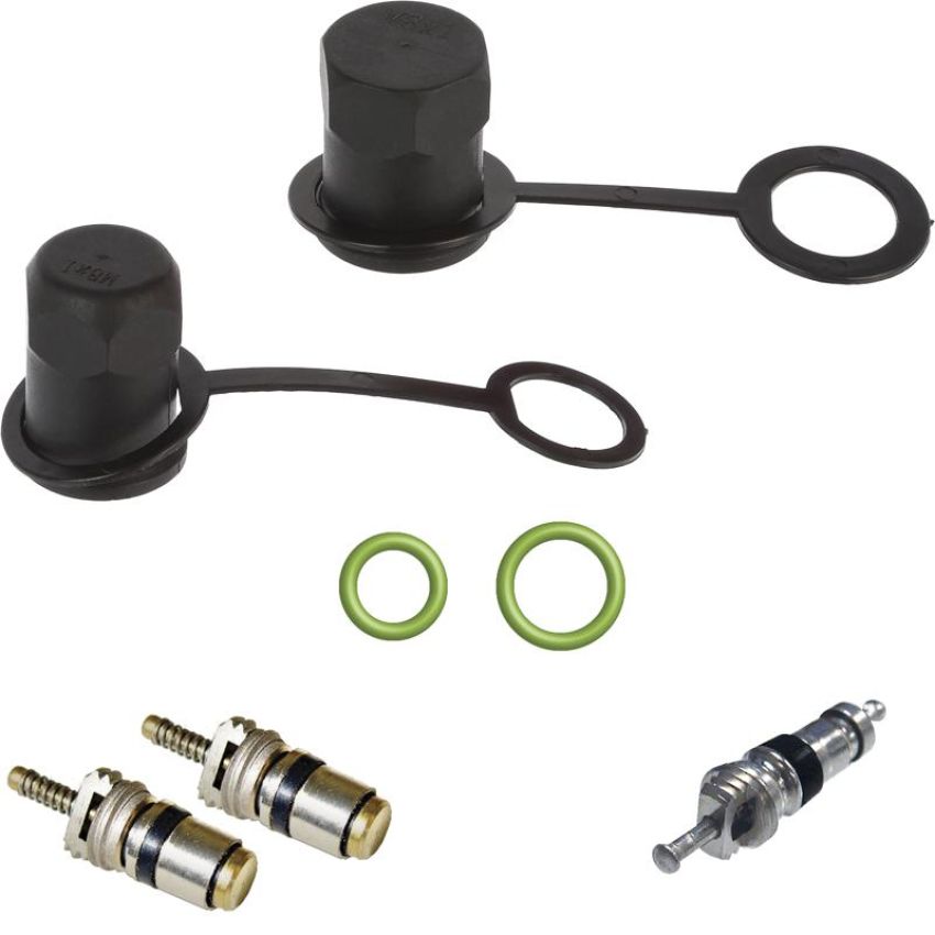 Global Parts Distributors LLC 1311748 gpd Cap and Valve Kit 1311748