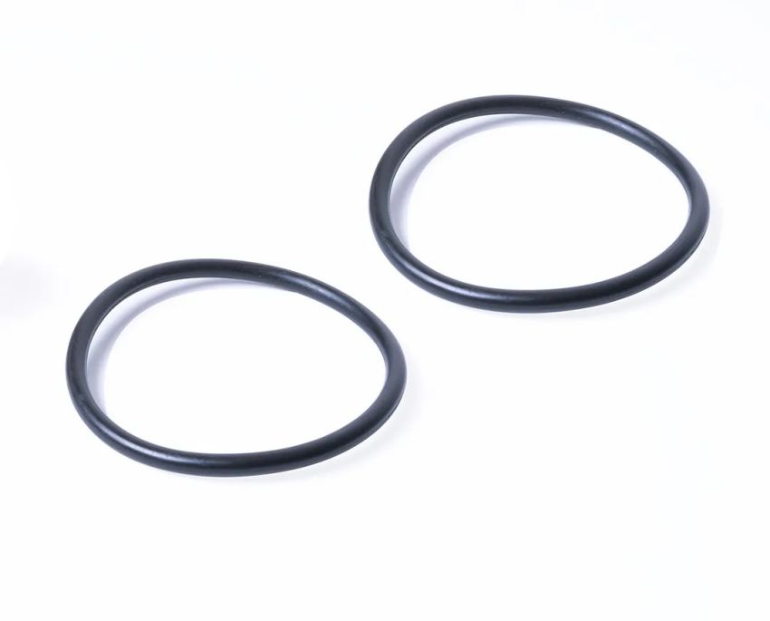 RACING POWER CO-PACKAGED RPCR9243 Replacement O-Ring For Chevy Water Neck (2)
