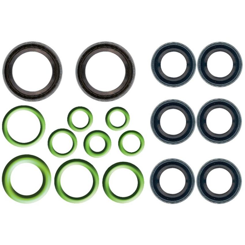 Global Parts Distributors LLC 1321261 gpd Rapid Seal Kit 1321261