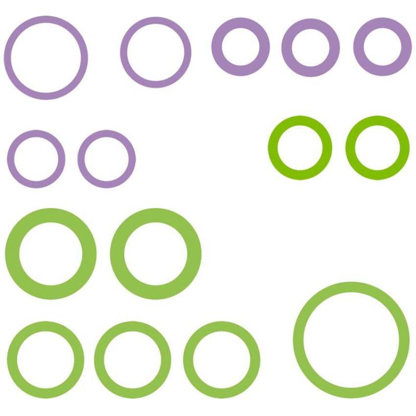 Global Parts Distributors LLC 1321398 gpd Rapid Seal Kit 1321398