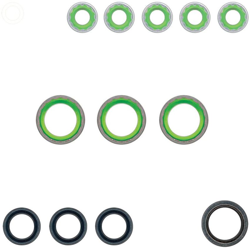 Global Parts Distributors LLC 1321399 gpd Rapid Seal Kit 1321399