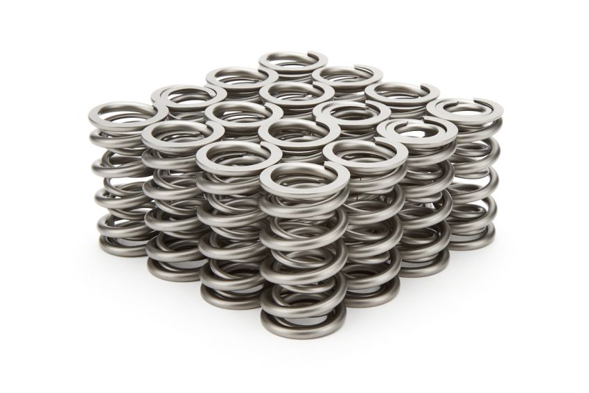 PAC RACING SPRINGS PACPAC-1205X-16 1.304 Dual Valve Springs - RPM Series (16)