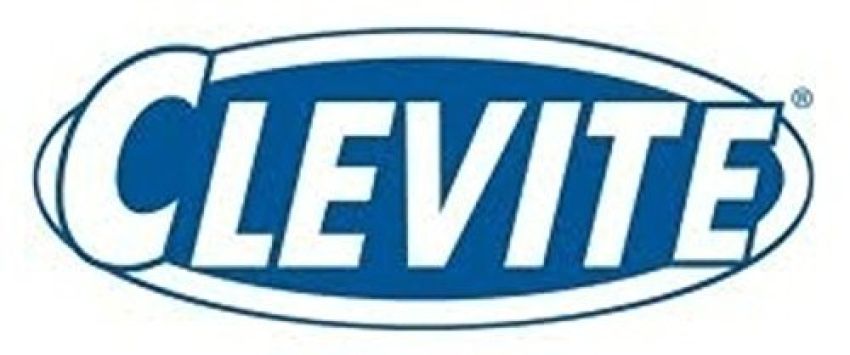 Clevite TW-369S+5