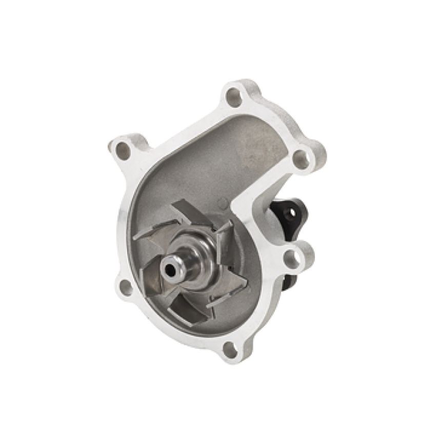Dayco DP1318 Water Pump