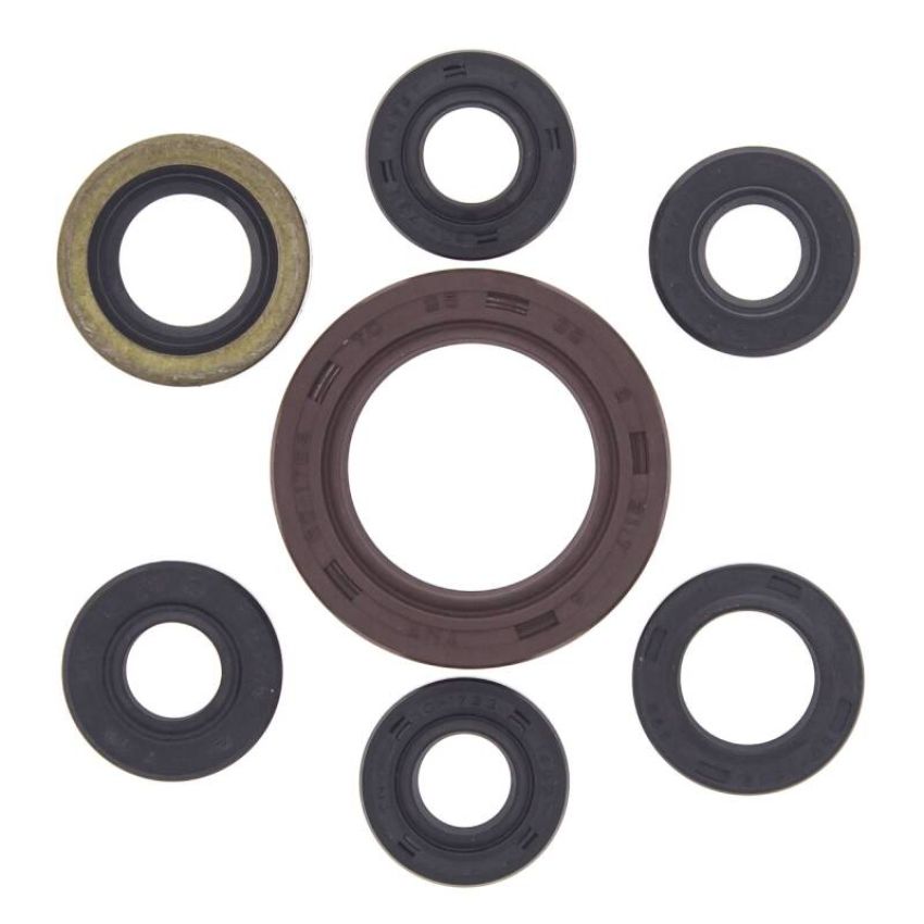 Vertex Pistons 822201 Vertex Gaskets 04-08 Arctic Cat 400 DVX Oil Seal Kit