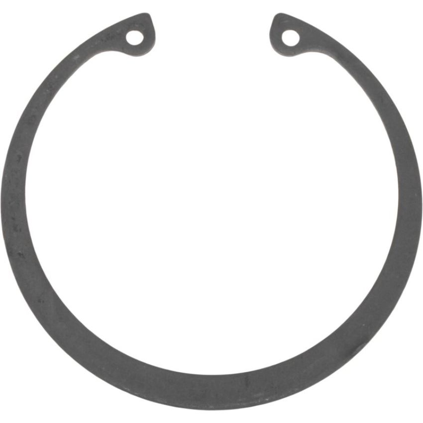 Autopart International Wheel Brng. Retainer 1490324706