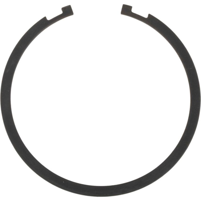 Autopart International Wheel Brng. Retainer 1490324707