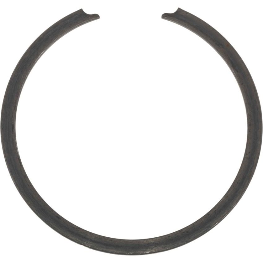Autopart International Wheel Brng. Retainer 1490324708