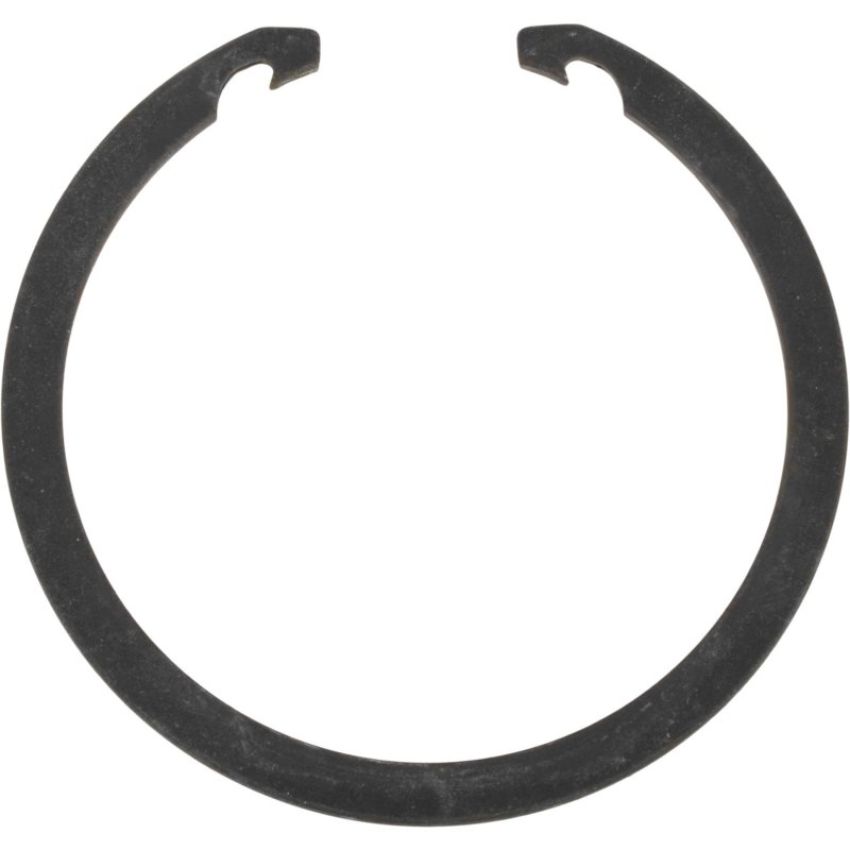 Autopart International Wheel Brng. Retainer 1490324709