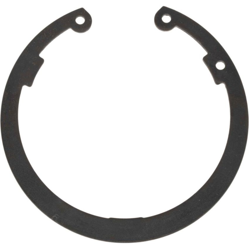 Autopart International Wheel Brng. Retainer 1490324711