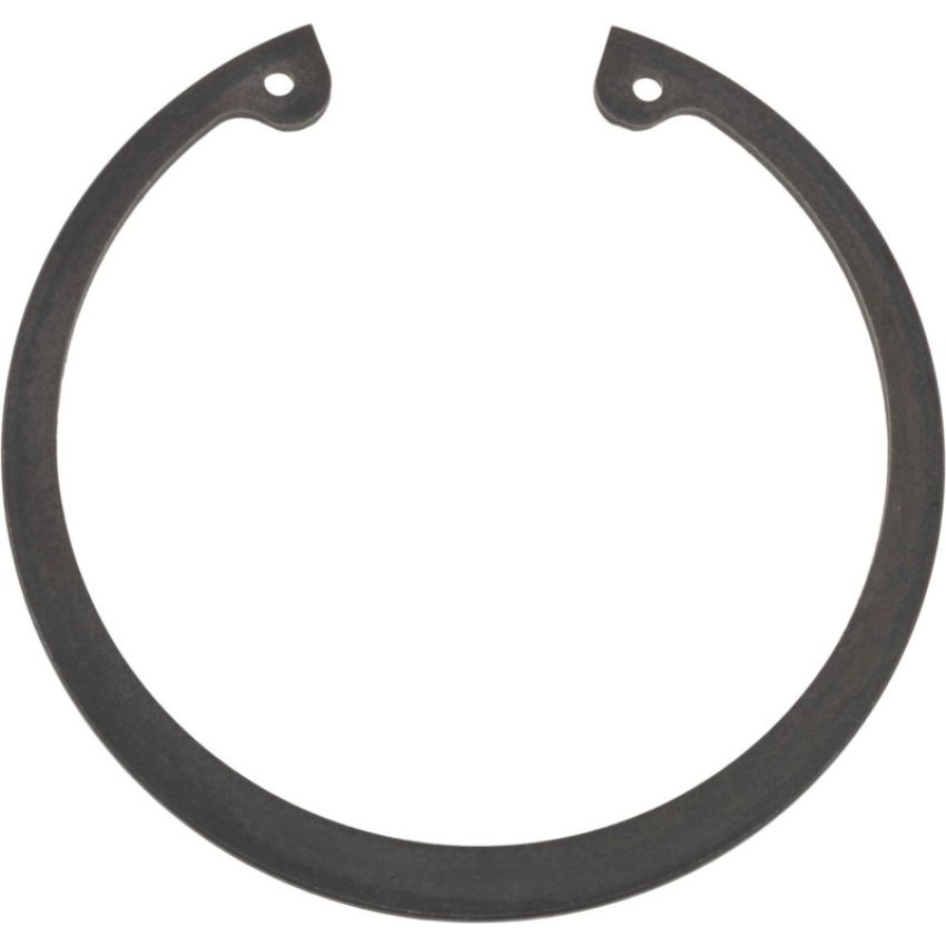 Autopart International Wheel Brng. Retainer 1490324712