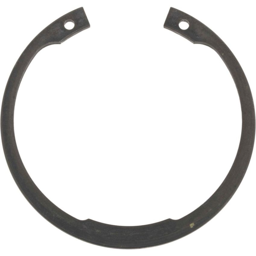 Autopart International Wheel Brng. Retainer 1490324713
